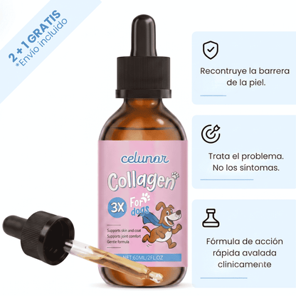 Celunor | Colágeno Para Alergias Caninas