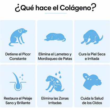 Celunor | Colágeno Para Alergias Caninas