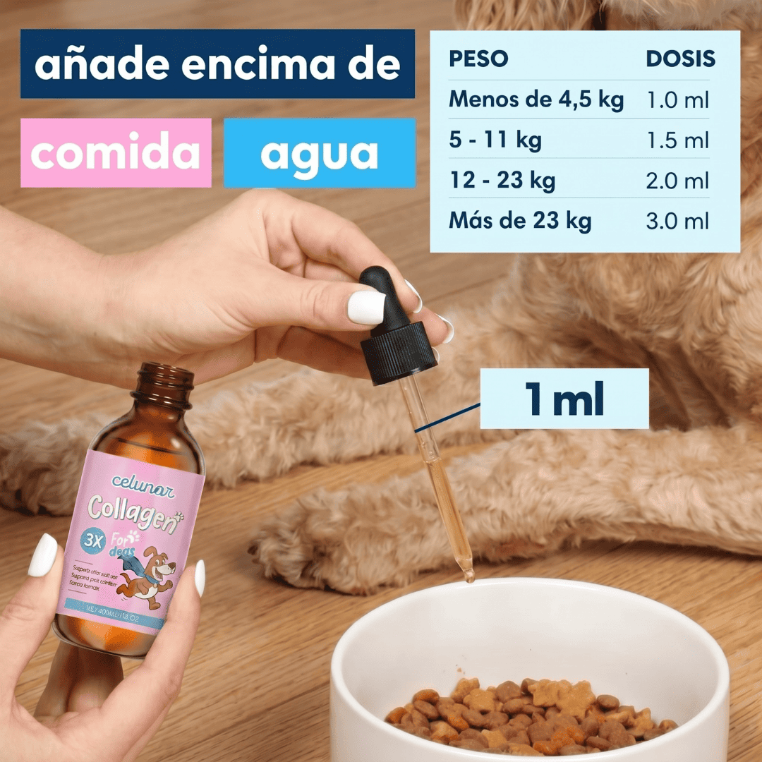 Celunor | Colágeno Para Alergias Caninas